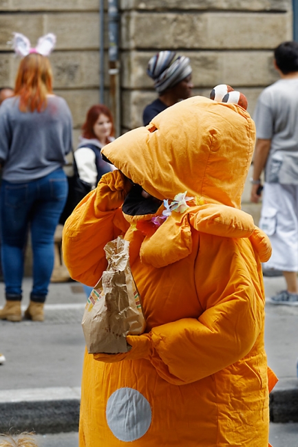 Gay Pride Bordeaux 2015-014